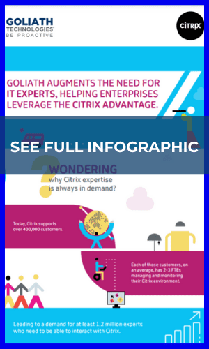 Citrix Experts Infographic